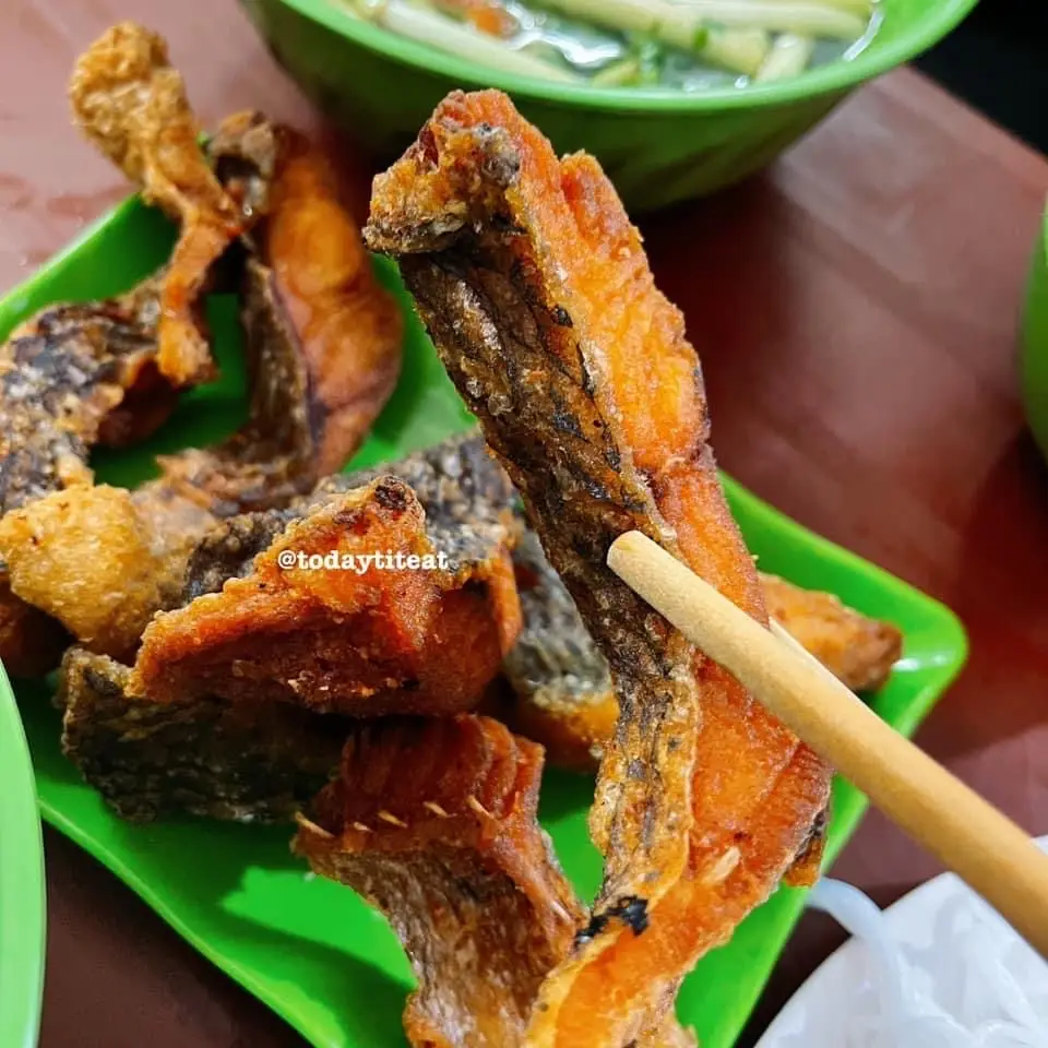 Hình ảnh Cá Bò