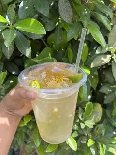 Hình ảnh Nước tắc tươi - xí muội tắt