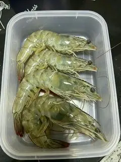 Hình ảnh Tôm Sống thêm