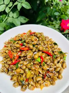 Hình ảnh Ốc mở vàng 
