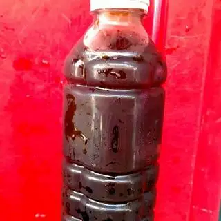 Hình ảnh Rong biển