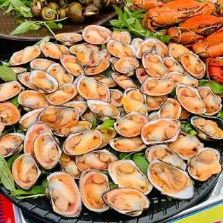 Hình ảnh Sò lông 