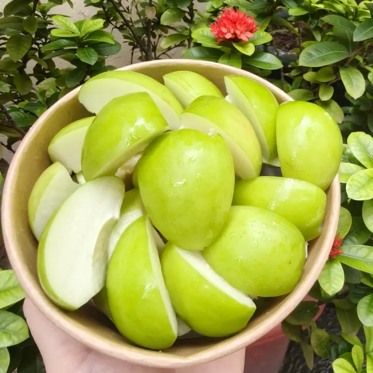 Hình ảnh Táo Phan Rang