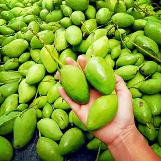 Hình ảnh Xoài non 500g + muối tôm