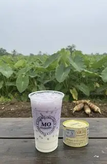 Hình ảnh Khoai Môn Sữa Gấu