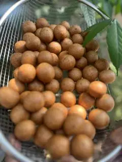 Hình ảnh Khoai mỡ chiên lắc phô mai