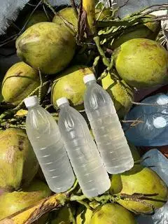 Hình ảnh combo 3 chai Nước dừa