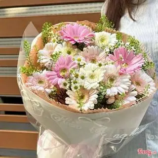 Hình ảnh Bó hoa đồng tiền bó tròn 