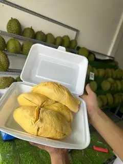 Hình ảnh Sầu Riêng Cơm Ri6 Miền Tây
