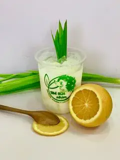 Hình ảnh Sữa chua đá