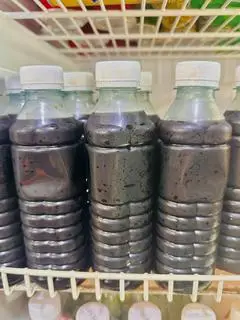 Hình ảnh Sâm rong biển