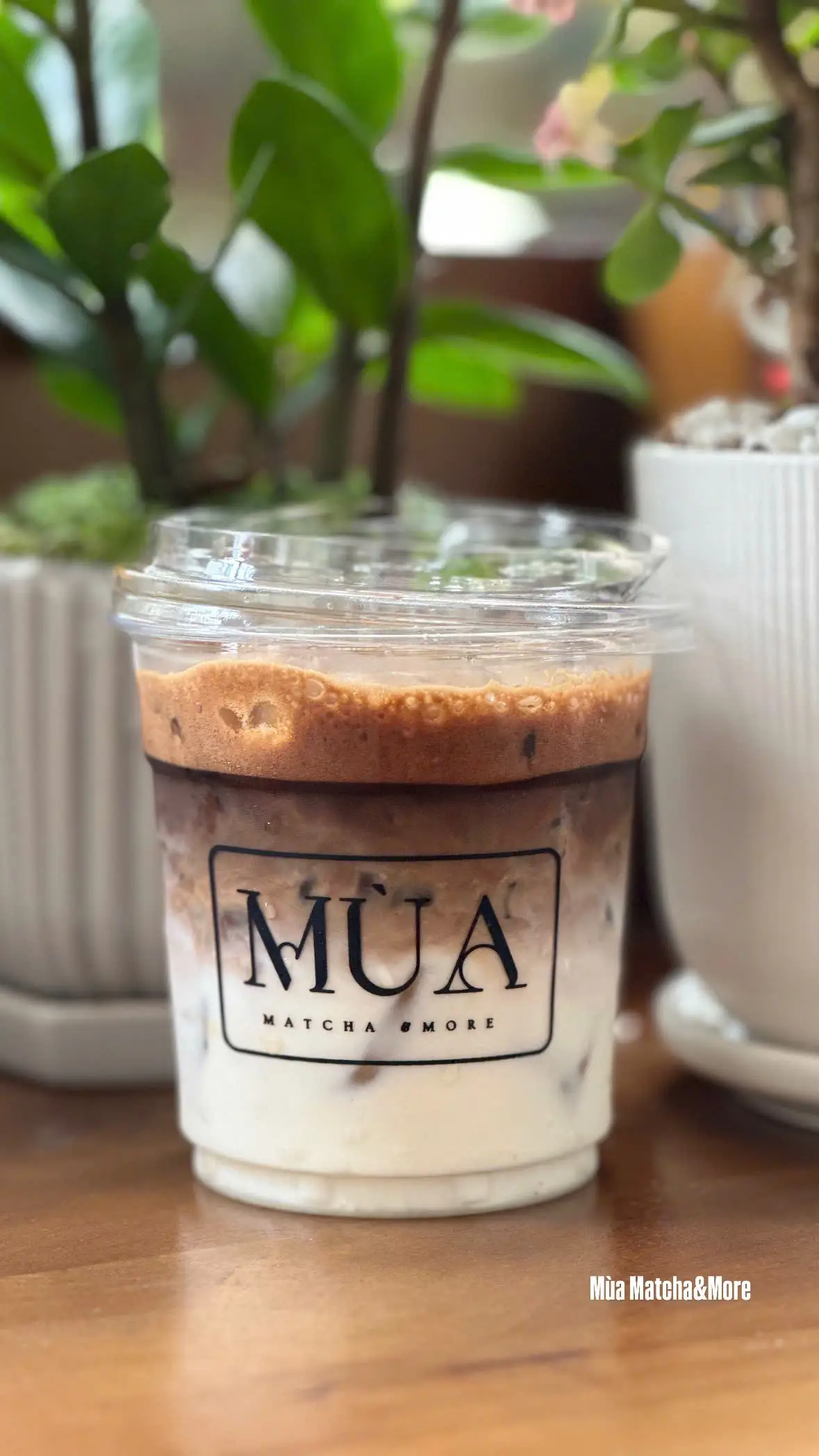 Hình ảnh Bạc xỉu
