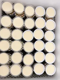 Hình ảnh Sữa chua phô mai - 10 hộp