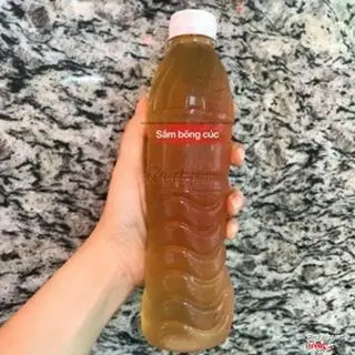 Hình ảnh Sâm bông cúc