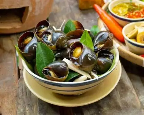 Hình ảnh ốc mít luộc