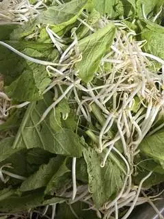 Hình ảnh Thêm rau cải+giá đỗ