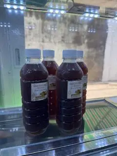 Hình ảnh Sâm rong biển thục địa