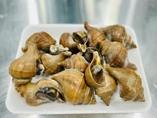 Hình ảnh Ốc Xoắn nhật ( 200gram )