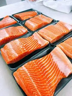 Hình ảnh Cá Hồi NaUy Frozen ( Chỉ chế biến )