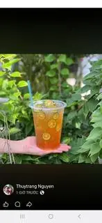 Hình ảnh TRÀ TẮC
