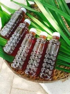 Hình ảnh Sâm lạnh 