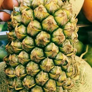 Hình ảnh Thơm cà rốt 