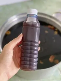 Hình ảnh Sâm lạnh 