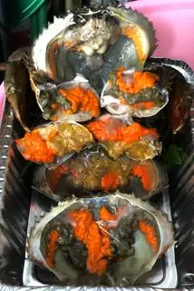 Hình ảnh 2 cua gạch vừa sốt tiêu đen