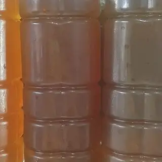 Hình ảnh Sâm bí đao nhà nấu