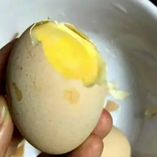 Hình ảnh Hột vịt dữa