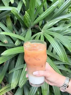 Hình ảnh Trà bạc sỉu