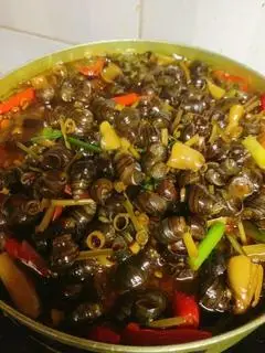 Hình ảnh Ốc Hút Miền Trung Phần Nhỏ 
