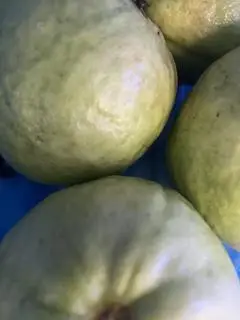 Hình ảnh ổi ép nguyên chất