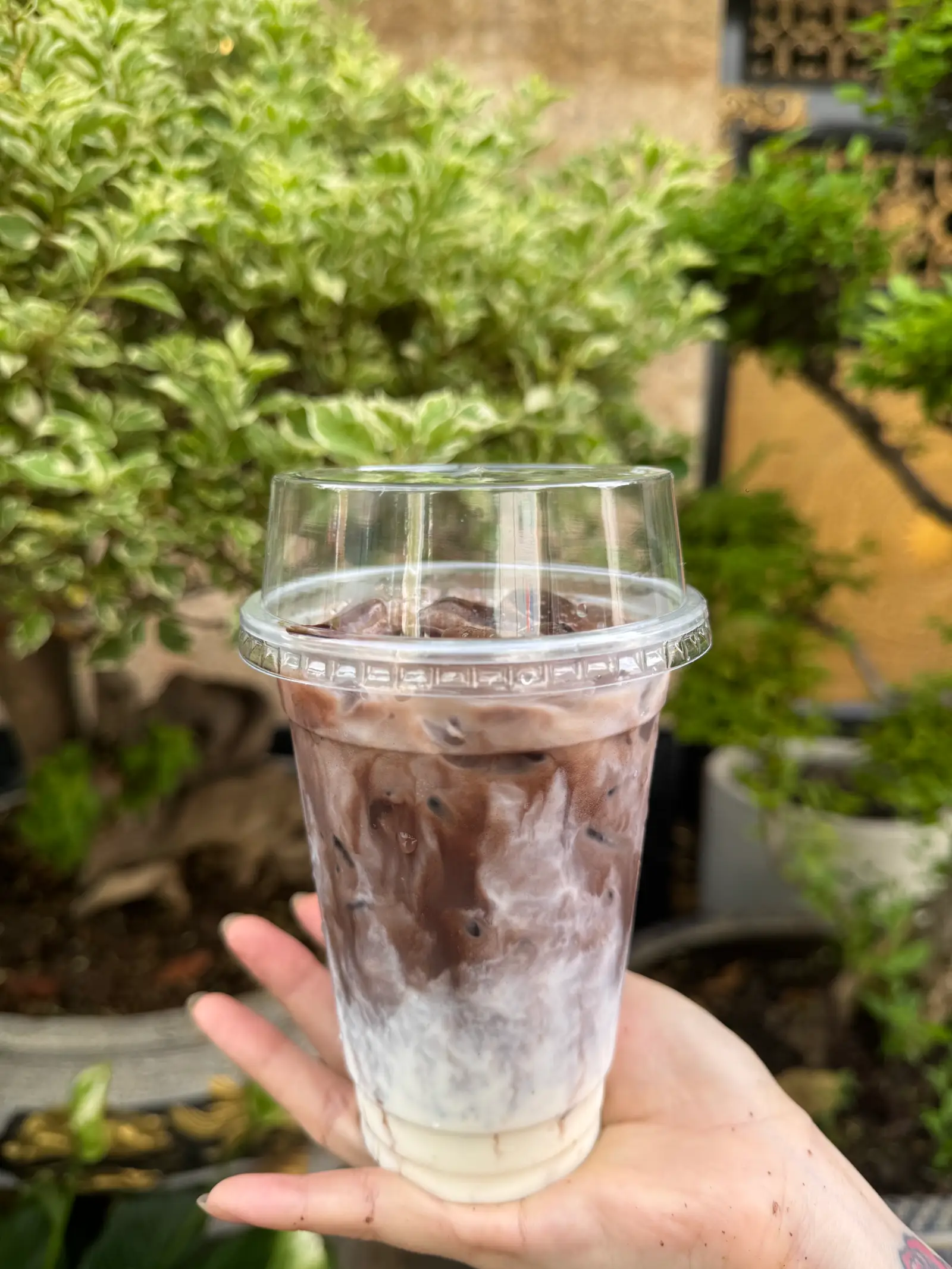 Hình ảnh Cacao latte