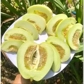Hình ảnh 1kg dưa lê di trạch ngọt