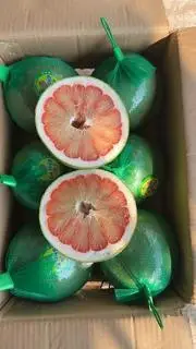 Hình ảnh Bưởi Da Xanh