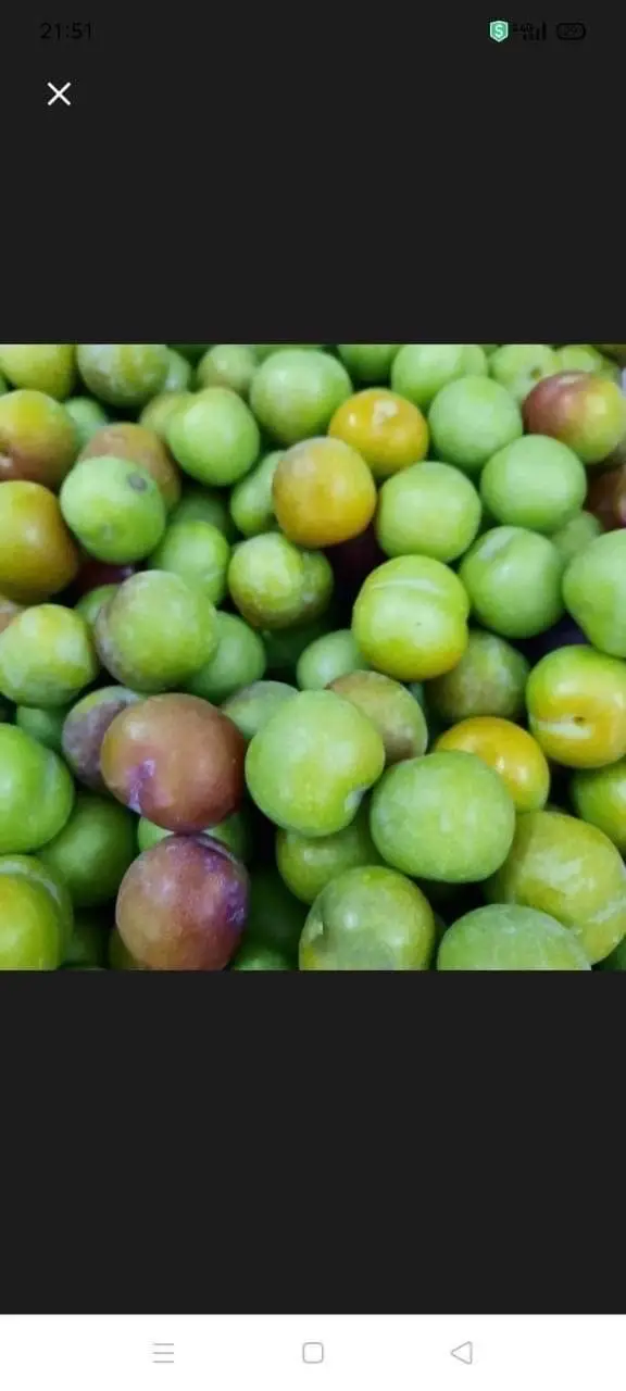 Hình ảnh Mận róc hạt kèm muối 