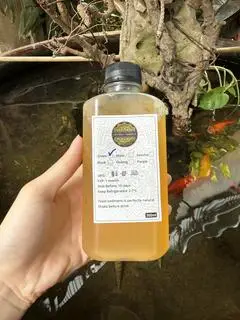 Hình ảnh Kombucha trà xanh - 300ml