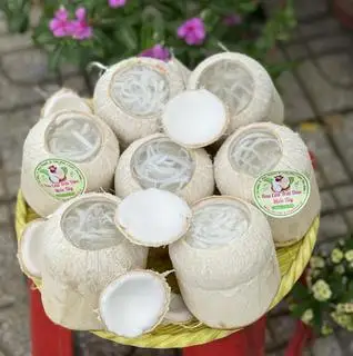 Hình ảnh Combo 7 Trái Rau Câu Dừa Miền Tây