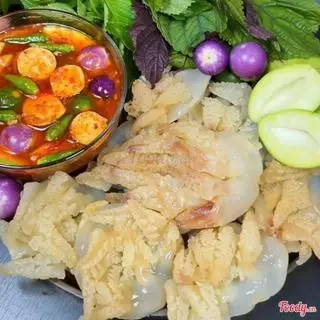 Hình ảnh Sứa chân mèo 