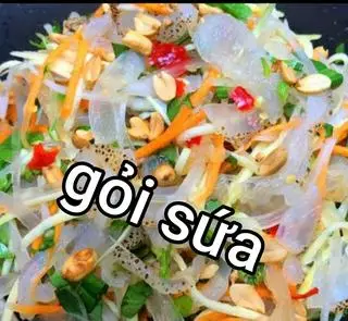 Hình ảnh gỏi sứa _1 phần 