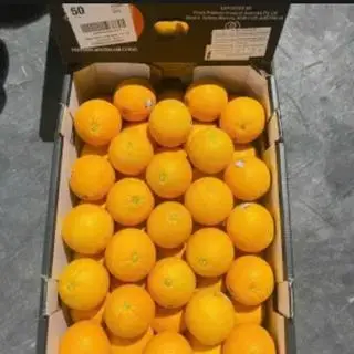 Hình ảnh cam úc( Australian Mandarin)
