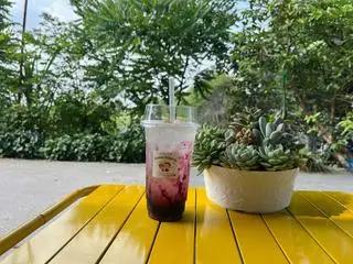 Hình ảnh Soda việt quất