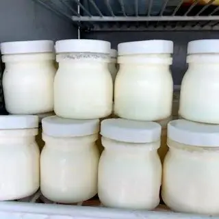 Hình ảnh Sữa chua sữa tươi