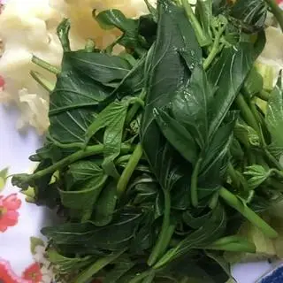 Hình ảnh rau luộc bầu khổ qua cà rốt bắp cải đậu bắp 