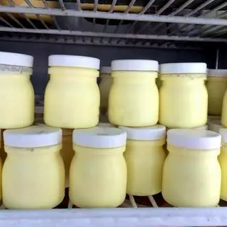 Hình ảnh Sữa chua phô mai
