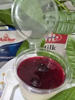Hình ảnh panacotta vị việt quất