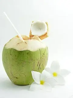Hình ảnh Dừa Tươi 