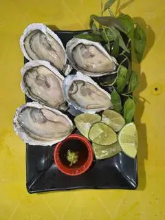 Hình ảnh 5 Hàu Sasimi Wasabi ( 10 tặng 1 ) 