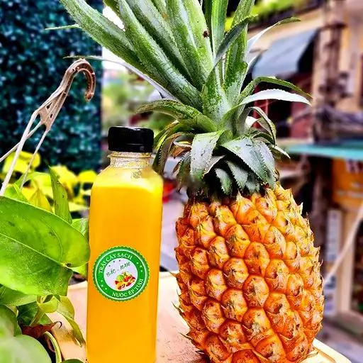 Hình ảnh Nước ép dứa tươi mát 500ml
